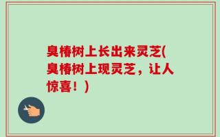 臭椿树上长出来灵芝(臭椿树上现灵芝，让人惊喜！)