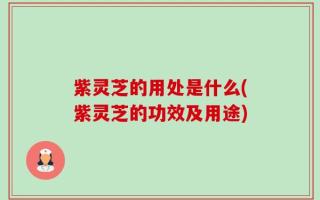 紫灵芝的用处是什么(紫灵芝的功效及用途)