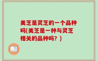 美芝是灵芝的一个品种吗(美芝是一种与灵芝相关的品种吗？)