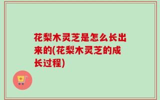 花梨木灵芝是怎么长出来的(花梨木灵芝的成长过程)