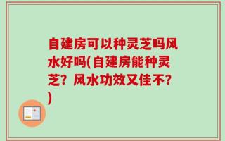 自建房可以种灵芝吗风水好吗(自建房能种灵芝？风水功效又佳不？)