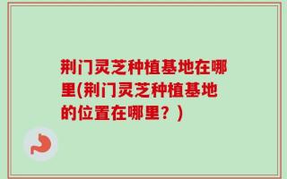 荆门灵芝种植基地在哪里(荆门灵芝种植基地的位置在哪里？)