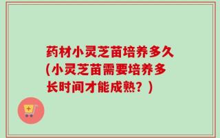 药材小灵芝苗培养多久(小灵芝苗需要培养多长时间才能成熟？)