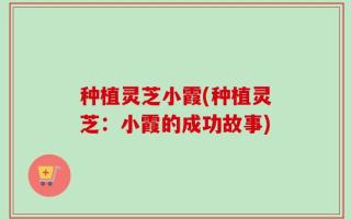 种植灵芝小霞(种植灵芝：小霞的成功故事)