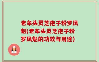 老牟头灵芝孢子粉罗凤魁(老牟头灵芝孢子粉罗凤魁的功效与用途)