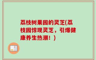 荔枝树果园的灵芝(荔枝园惊现灵芝，引爆健康养生热潮！)