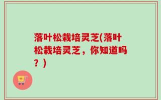 落叶松栽培灵芝(落叶松栽培灵芝，你知道吗？)