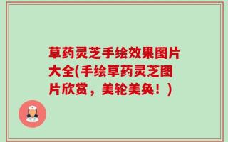 草药灵芝手绘效果图片大全(手绘草药灵芝图片欣赏，美轮美奂！)