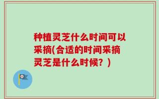 种植灵芝什么时间可以采摘(合适的时间采摘灵芝是什么时候？)