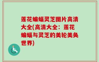 莲花蝙蝠灵芝图片高清大全(高清大全：莲花蝙蝠与灵芝的美轮美奂世界)