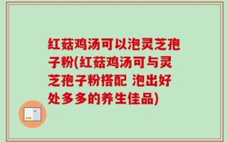 红菇鸡汤可以泡灵芝孢子粉(红菇鸡汤可与灵芝孢子粉搭配 泡出好处多多的养生佳品)