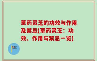 草药灵芝的功效与作用及禁忌(草药灵芝：功效、作用与禁忌一览)