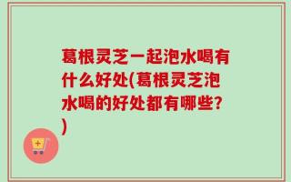 葛根灵芝一起泡水喝有什么好处(葛根灵芝泡水喝的好处都有哪些？)