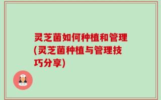 灵芝菌如何种植和管理(灵芝菌种植与管理技巧分享)