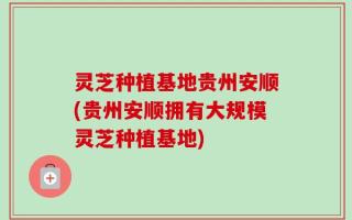 灵芝种植基地贵州安顺(贵州安顺拥有大规模灵芝种植基地)