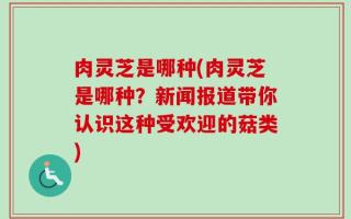 肉灵芝是哪种(肉灵芝是哪种？新闻报道带你认识这种受欢迎的菇类)