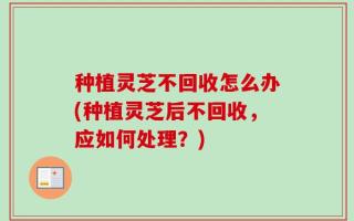 种植灵芝不回收怎么办(种植灵芝后不回收，应如何处理？)