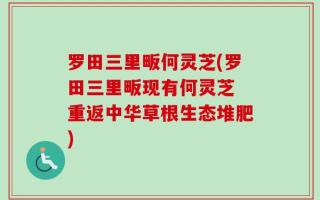 罗田三里畈何灵芝(罗田三里畈现有何灵芝 重返中华草根生态堆肥)