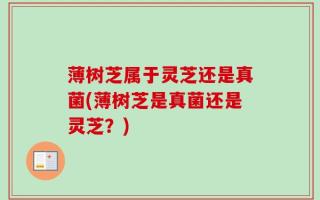 薄树芝属于灵芝还是真菌(薄树芝是真菌还是灵芝？)