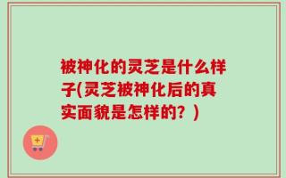 被神化的灵芝是什么样子(灵芝被神化后的真实面貌是怎样的？)
