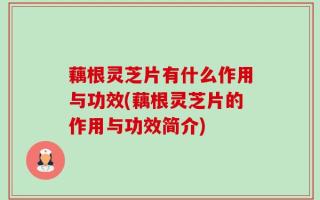 藕根灵芝片有什么作用与功效(藕根灵芝片的作用与功效简介)