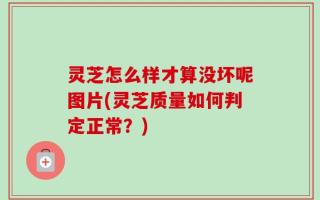 灵芝怎么样才算没坏呢图片(灵芝质量如何判定正常？)