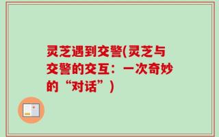 灵芝遇到交警(灵芝与交警的交互：一次奇妙的“对话”)