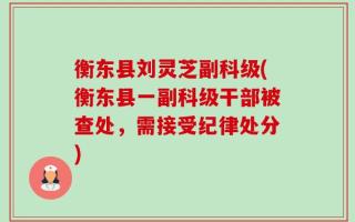 衡东县刘灵芝副科级(衡东县一副科级干部被查处，需接受纪律处分)
