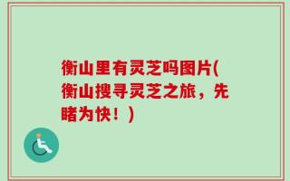 衡山里有灵芝吗图片(衡山搜寻灵芝之旅，先睹为快！)