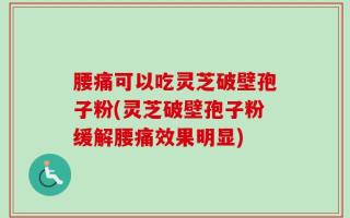 腰痛可以吃灵芝破壁孢子粉(灵芝破壁孢子粉缓解腰痛效果明显)