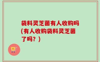 袋料灵芝菌有人收购吗(有人收购袋料灵芝菌了吗？)