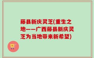 藤县新庆灵芝(重生之地——广西藤县新庆灵芝为当地带来新希望)