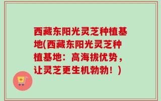 西藏东阳光灵芝种植基地(西藏东阳光灵芝种植基地：高海拔优势，让灵芝更生机勃勃！)