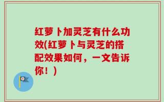 红萝卜加灵芝有什么功效(红萝卜与灵芝的搭配效果如何，一文告诉你！)