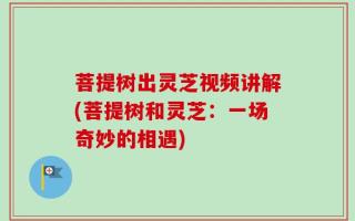 菩提树出灵芝视频讲解(菩提树和灵芝：一场奇妙的相遇)