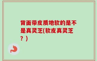 背面带皮质地软的是不是真灵芝(软皮真灵芝？)