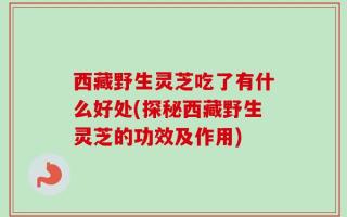 西藏野生灵芝吃了有什么好处(探秘西藏野生灵芝的功效及作用)
