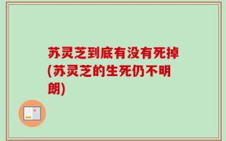 苏灵芝到底有没有死掉(苏灵芝的生死仍不明朗)