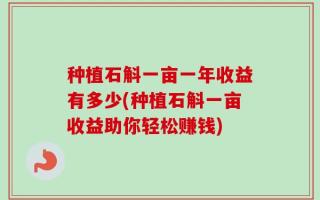 种植石斛一亩一年收益有多少(种植石斛一亩收益助你轻松赚钱)