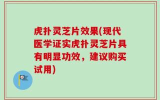 虎扑灵芝片效果(现代医学证实虎扑灵芝片具有明显功效，建议购买试用)