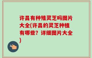 许昌有种殖灵芝吗图片大全(许昌的灵芝种植有哪些？详细图片大全)