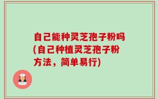 自己能种灵芝孢子粉吗(自己种植灵芝孢子粉方法，简单易行)