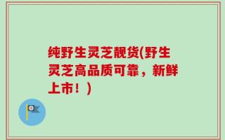 纯野生灵芝靓货(野生灵芝高品质可靠，新鲜上市！)