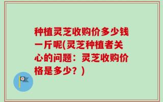 种植灵芝收购价多少钱一斤呢(灵芝种植者关心的问题：灵芝收购价格是多少？)