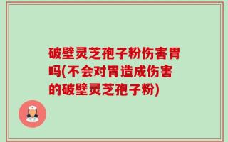 破壁灵芝孢子粉伤害胃吗(不会对胃造成伤害的破壁灵芝孢子粉)