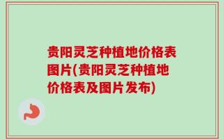 贵阳灵芝种植地价格表图片(贵阳灵芝种植地价格表及图片发布)