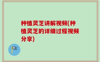 种植灵芝讲解视频(种植灵芝的详细过程视频分享)