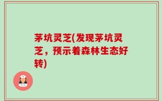 茅坑灵芝(发现茅坑灵芝，预示着森林生态好转)