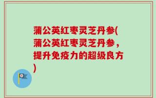 蒲公英红枣灵芝丹参(蒲公英红枣灵芝丹参，提升免疫力的超级良方)