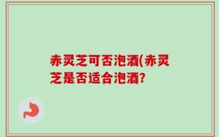 赤灵芝可否泡酒(赤灵芝是否适合泡酒？